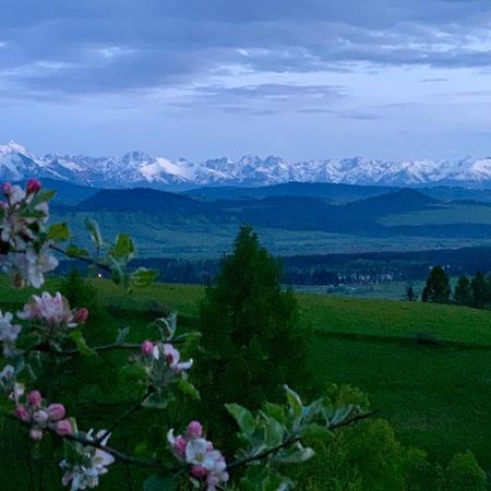 Koza U Woza Wypocznij W Gorach W Rytmie Slow Drewniany Dom Premium Z Widokiem Na Panorame Tatr Ecospa Strefa Fitness Zielona Farma Warsztaty (Adults Only) Szlembark Экстерьер фото