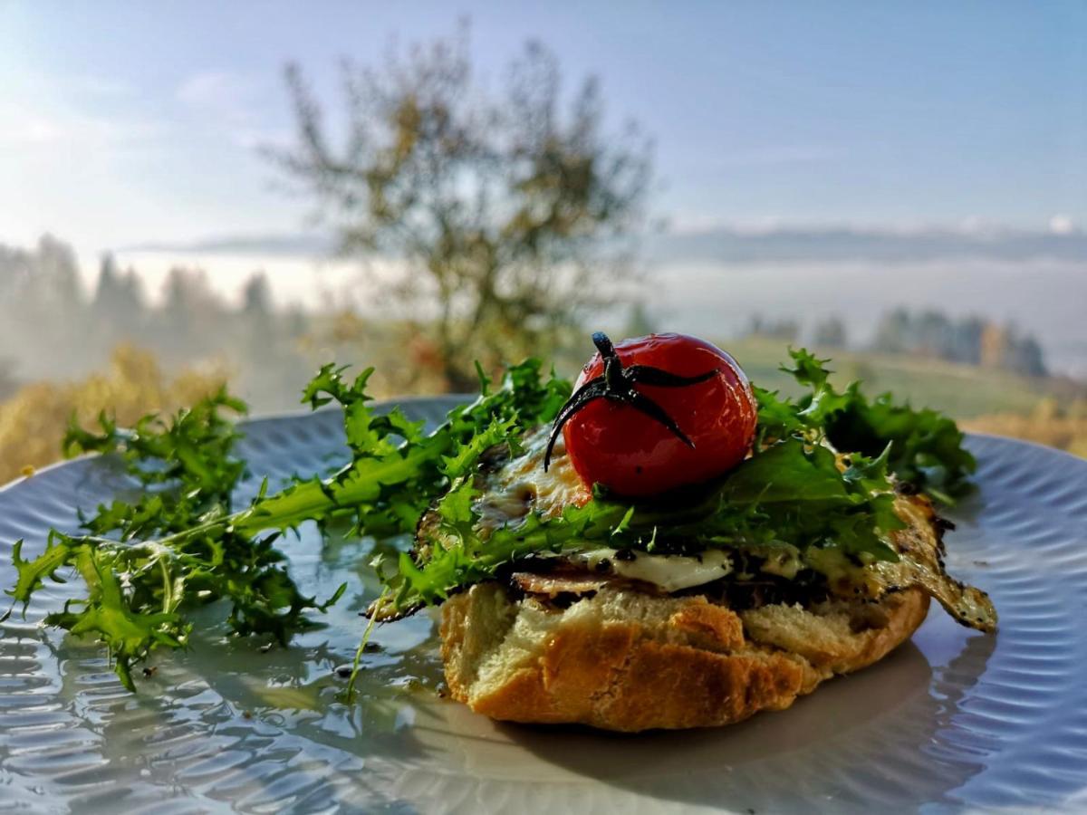 Koza U Woza Wypocznij W Gorach W Rytmie Slow Drewniany Dom Premium Z Widokiem Na Panorame Tatr Ecospa Strefa Fitness Zielona Farma Warsztaty (Adults Only) Szlembark Экстерьер фото