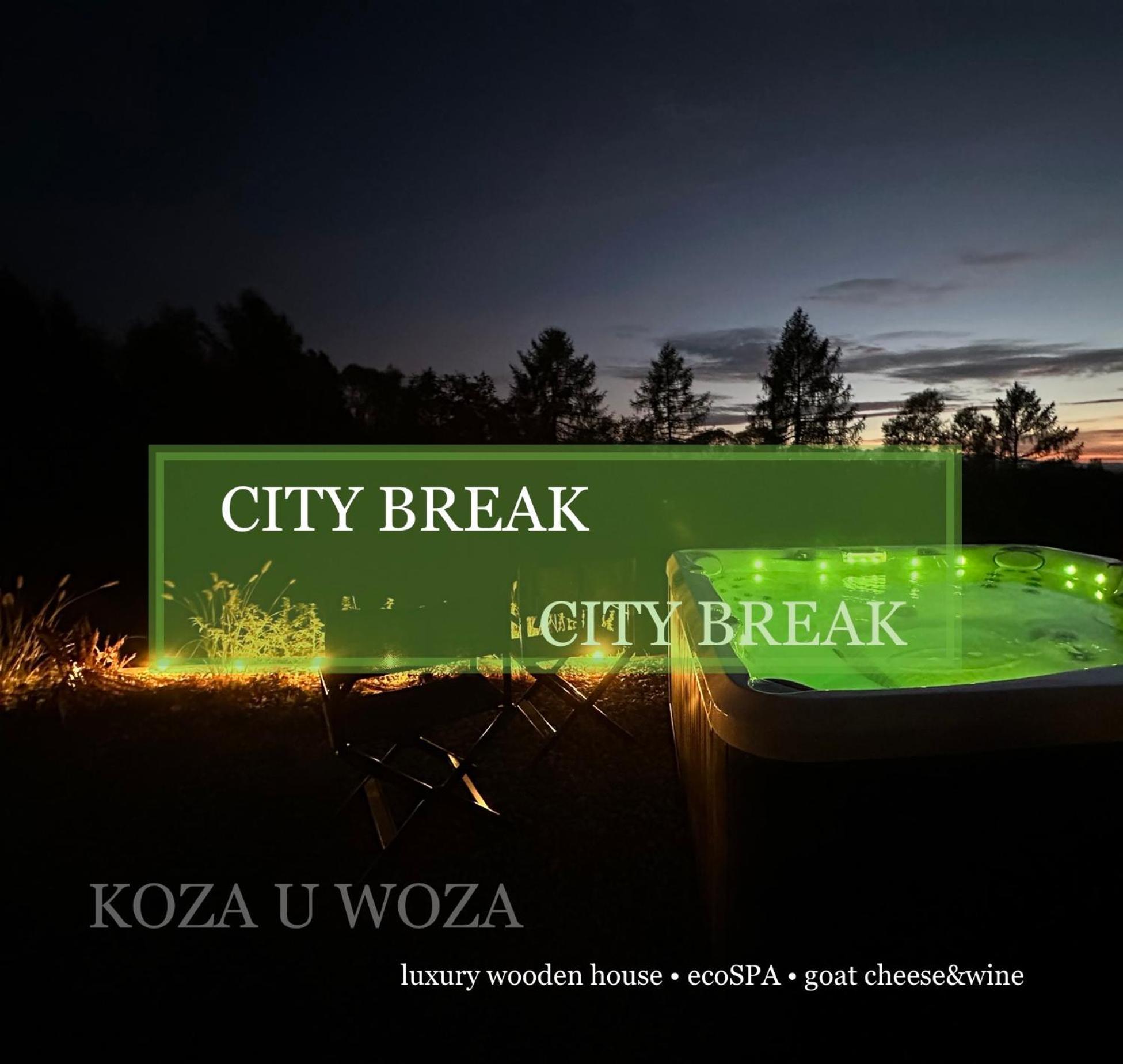 Koza U Woza Wypocznij W Gorach W Rytmie Slow Drewniany Dom Premium Z Widokiem Na Panorame Tatr Ecospa Strefa Fitness Zielona Farma Warsztaty (Adults Only) Szlembark Экстерьер фото