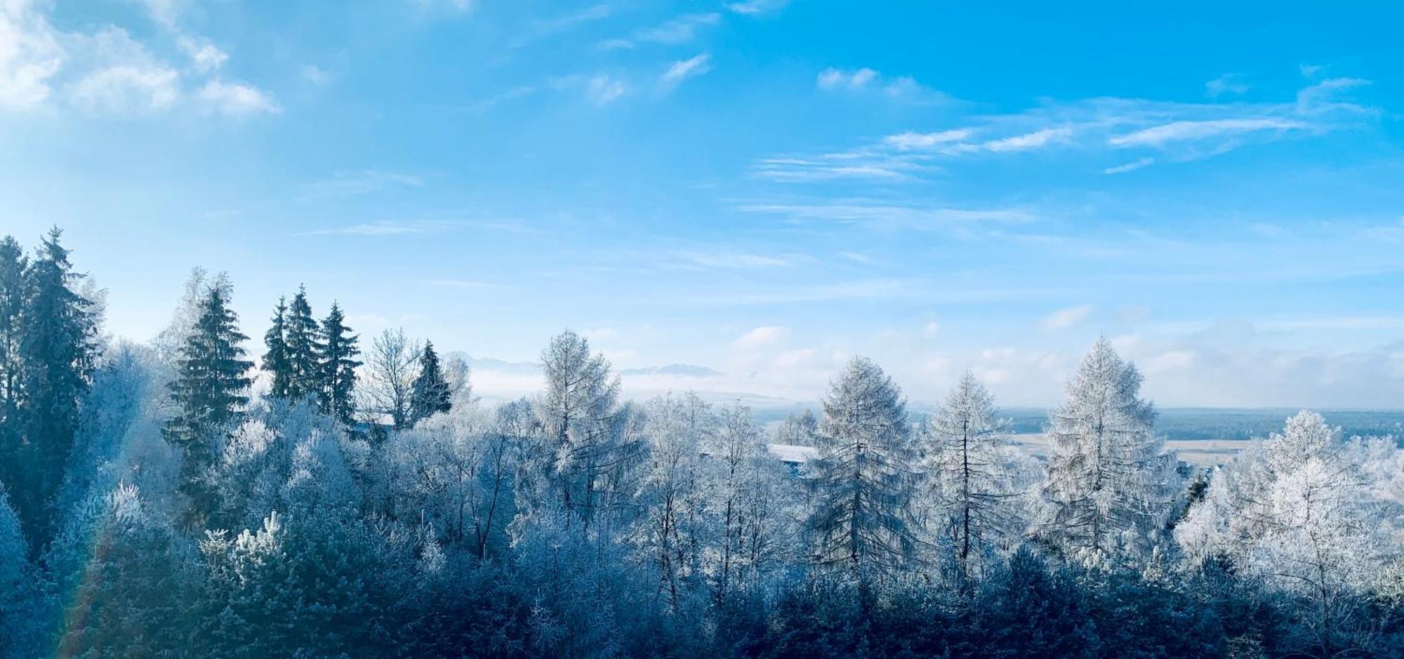 Koza U Woza Wypocznij W Gorach W Rytmie Slow Drewniany Dom Premium Z Widokiem Na Panorame Tatr Ecospa Strefa Fitness Zielona Farma Warsztaty (Adults Only) Szlembark Экстерьер фото