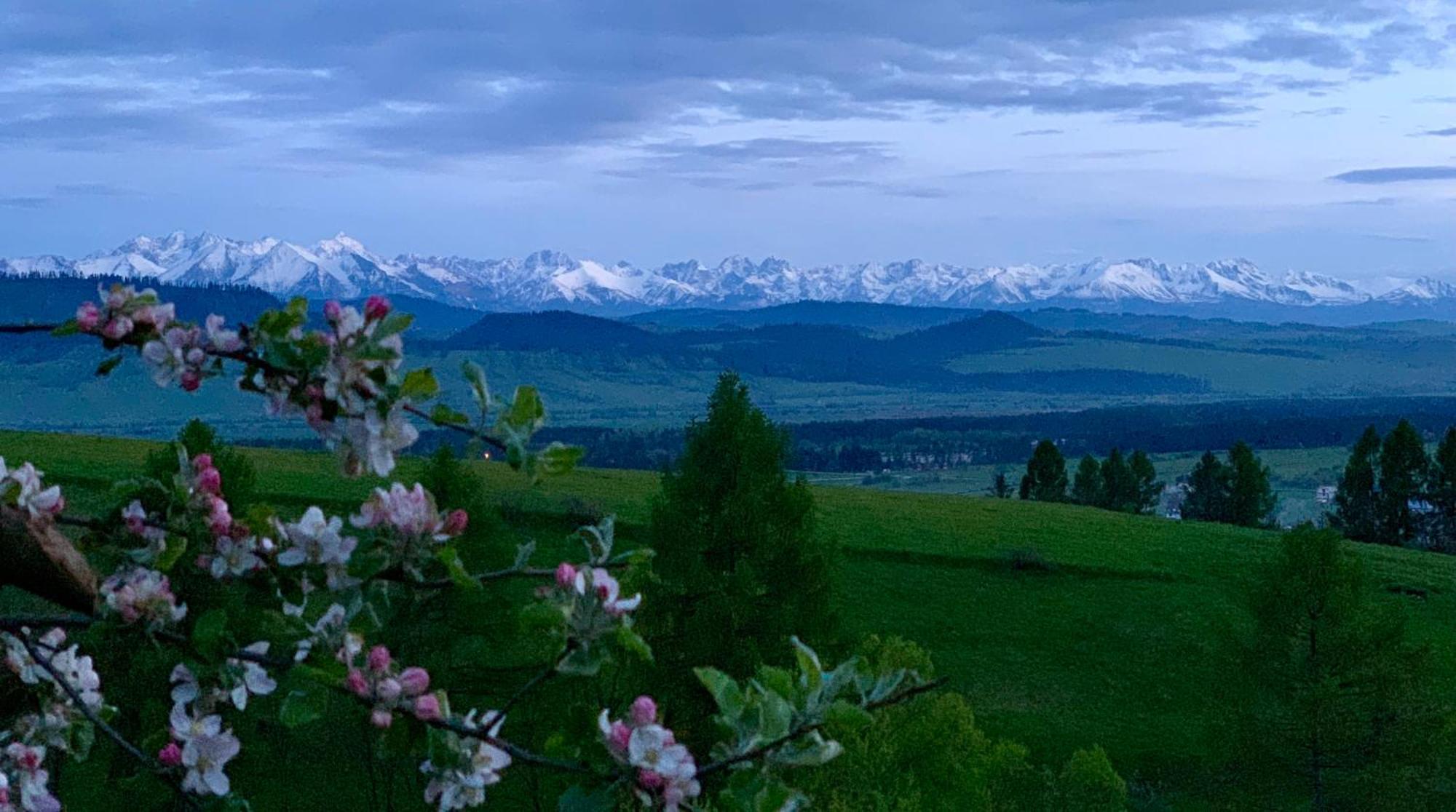 Koza U Woza Wypocznij W Gorach W Rytmie Slow Drewniany Dom Premium Z Widokiem Na Panorame Tatr Ecospa Strefa Fitness Zielona Farma Warsztaty (Adults Only) Szlembark Экстерьер фото