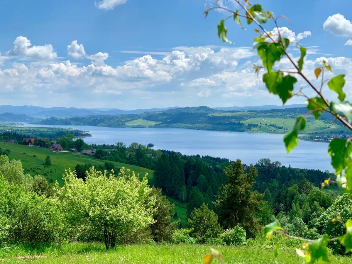Koza U Woza Wypocznij W Gorach W Rytmie Slow Drewniany Dom Premium Z Widokiem Na Panorame Tatr Ecospa Strefa Fitness Zielona Farma Warsztaty (Adults Only) Szlembark Экстерьер фото